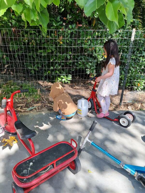 Children exploring the shaded garden path with their scooters